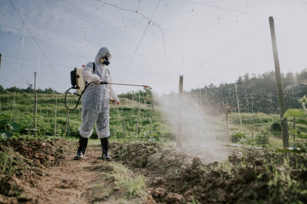 Best Pest Control for Homes  in Campton Hls, IL