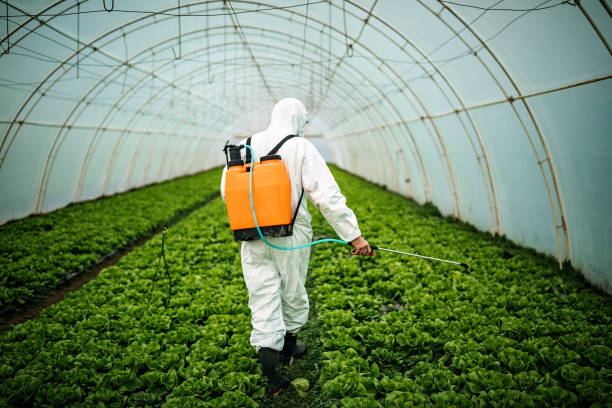 Best Best Pest Control Companies  in Campton Hls, IL