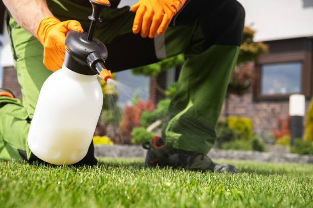 Best Commercial Pest Control Services  in Campton Hls, IL