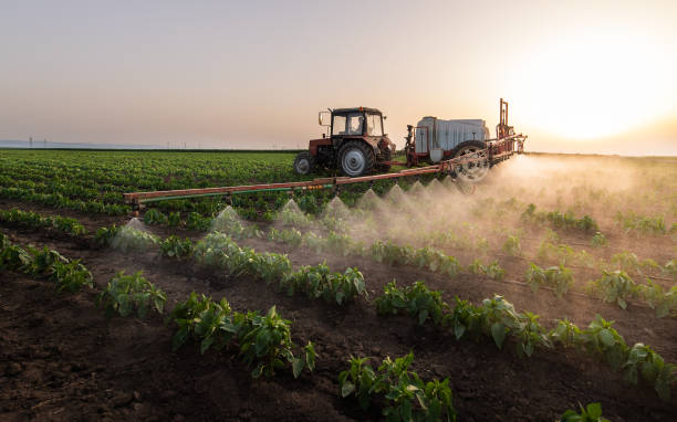 Best Bird Control  in Campton Hls, IL