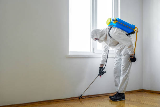 Best Exterminator Services  in Campton Hls, IL
