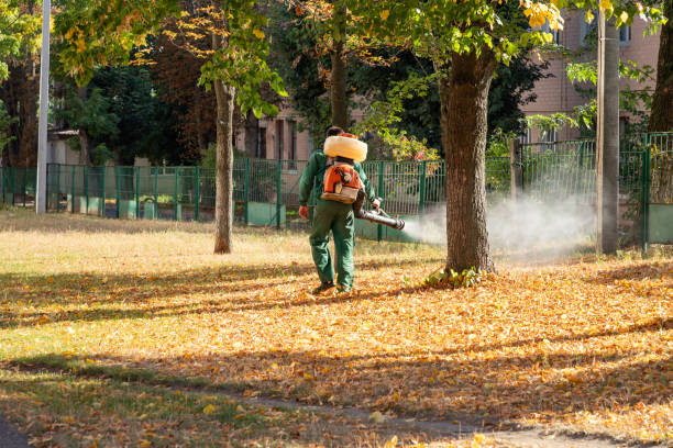 Best Best Pest Control Companies  in Campton Hls, IL