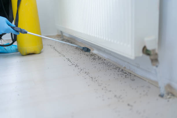 Best Cockroach Control Services  in Campton Hls, IL